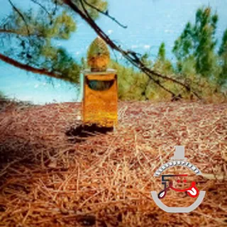 Soleil de Jeddah Stéphane Humbert Lucas 777